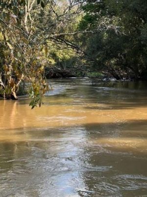 rio-santo-antonio-staa-cecilia