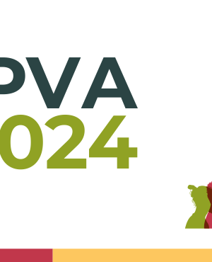 20240130113017card_noticia_ipva_2024
