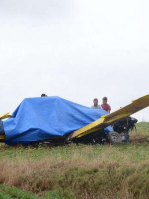 1732114569-aviao-de-pequeno-porte-cai-em-lavoura-no-interior-de-palmeira-das-missaes